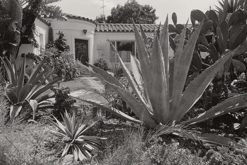 National Gallery of Art Adds Gus Kayafas's 1984 "Miami" Portfolio to Its Collection